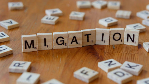 Canada LMI waiver occupations list 2026