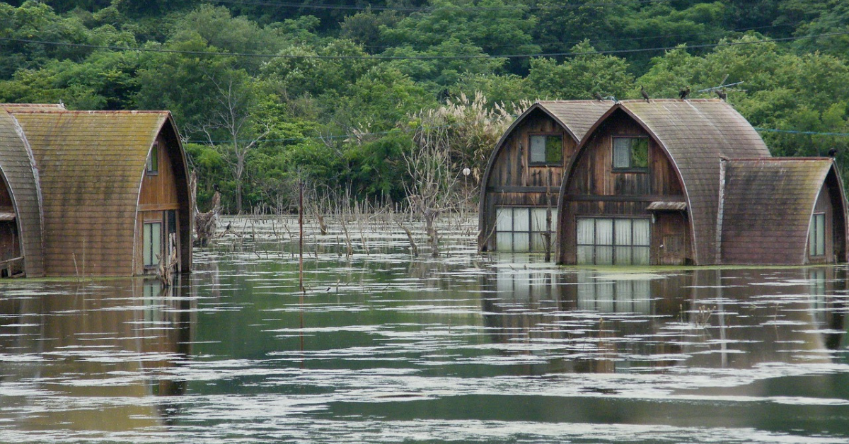 Check Flood Zone By Address NSW